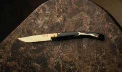 Coffret de 2 couteaux de table Kintsugi Charbon Lame Or