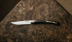 Coffret de 2 couteaux de table Kintsugi Charbon Lame Argent