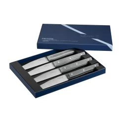 Coffret de 4 couteaux de table Facette Ardoise Microdenté