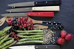 Couteau de table noir N°125